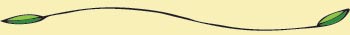 horizontal rule